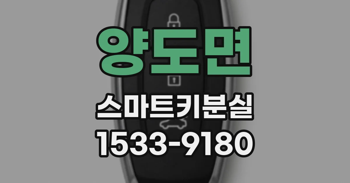 양도면 스마트키분실