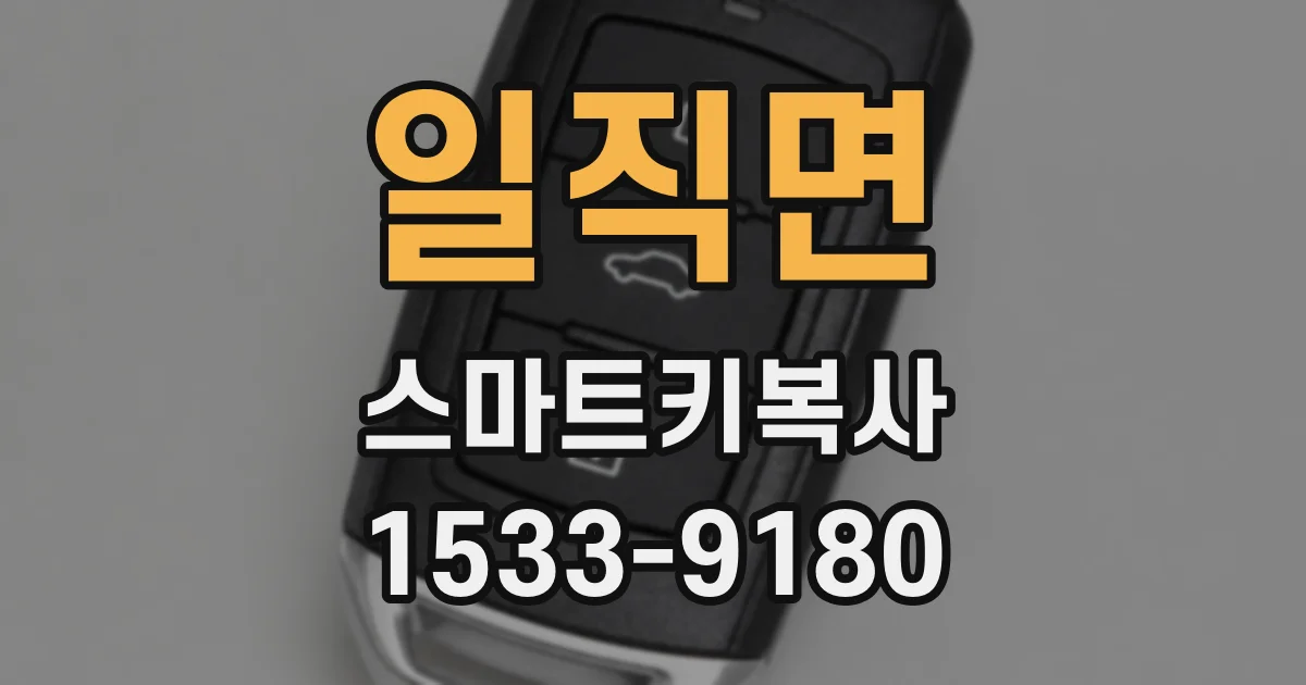 일직면 스마트키복사
