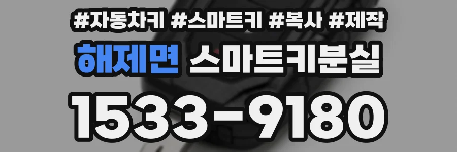 해제면 스마트키분실