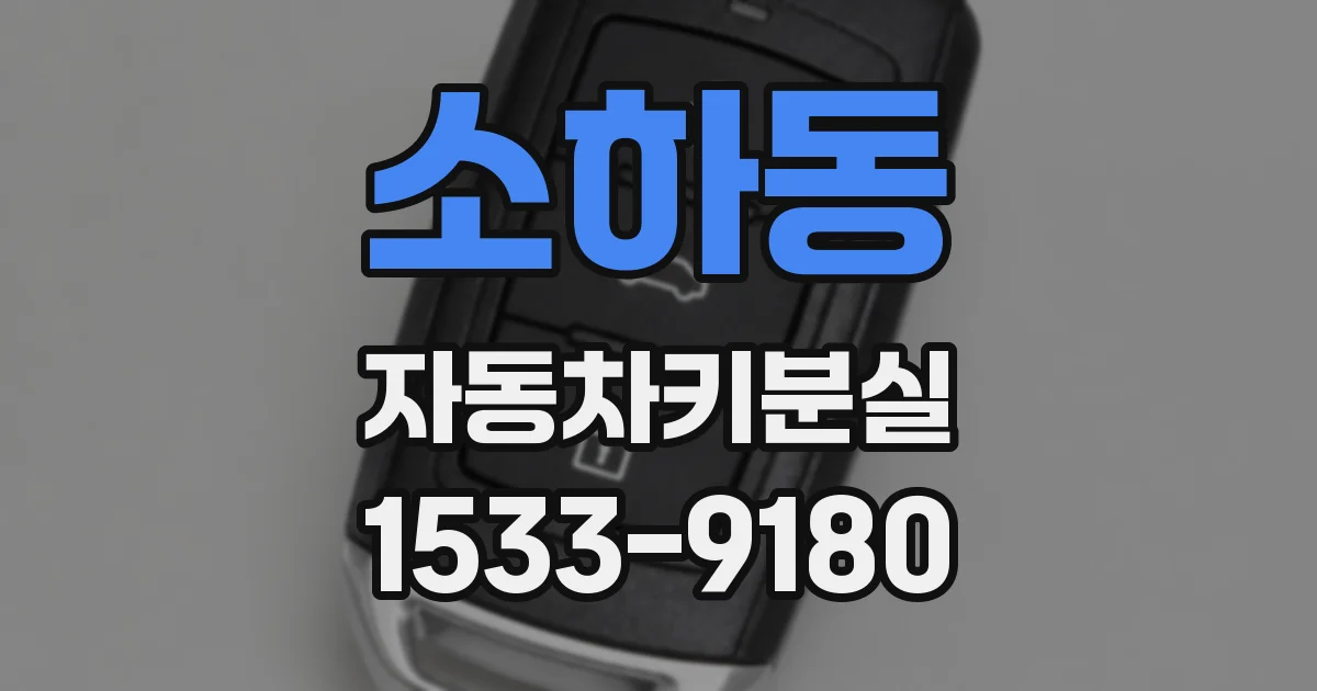 소하동 자동차키분실