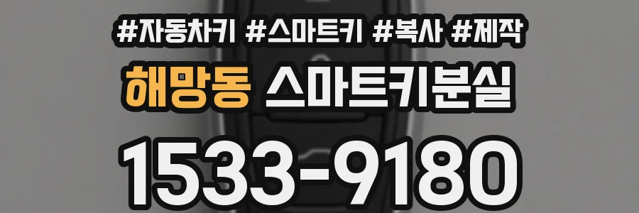 해망동 스마트키분실