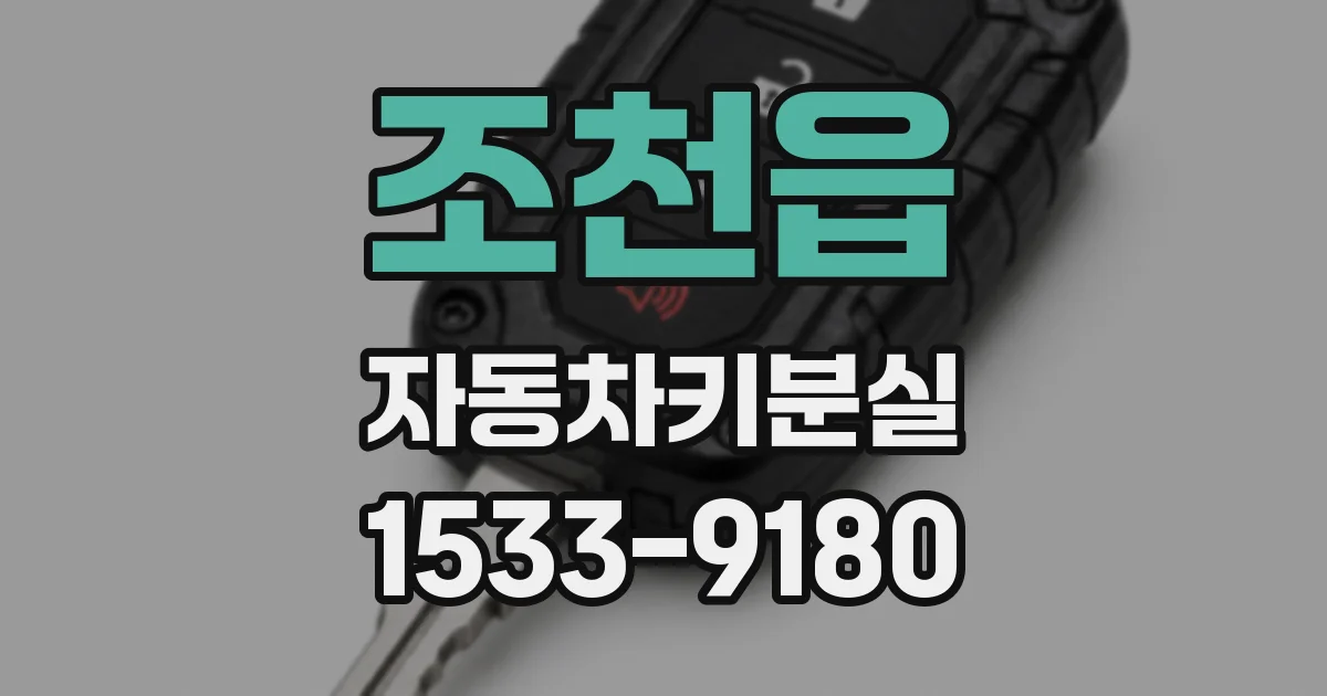 조천읍 자동차키분실