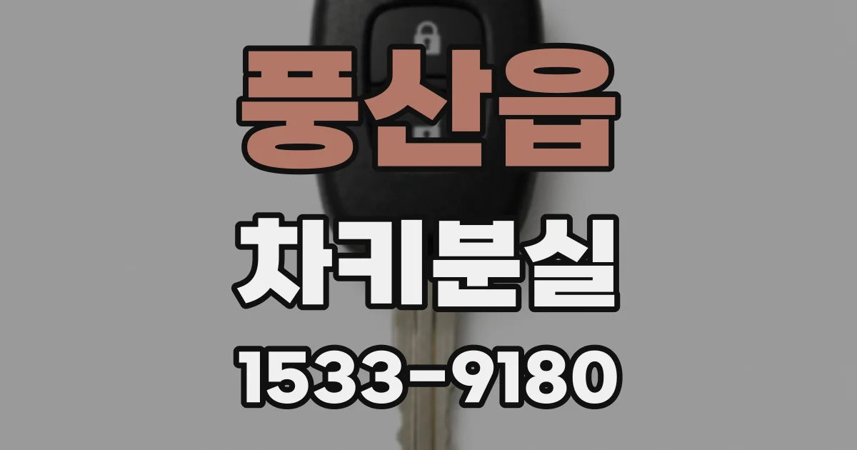 풍산읍 차키분실
