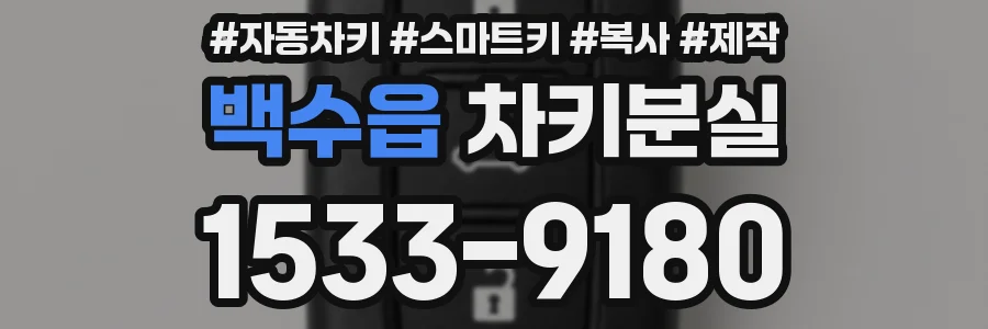 백수읍 차키분실