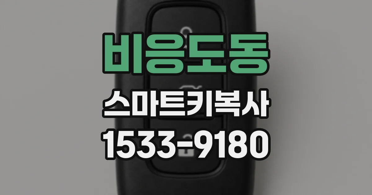 비응도동 스마트키복사