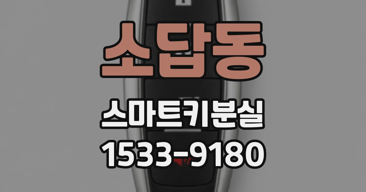 소답동 스마트키분실