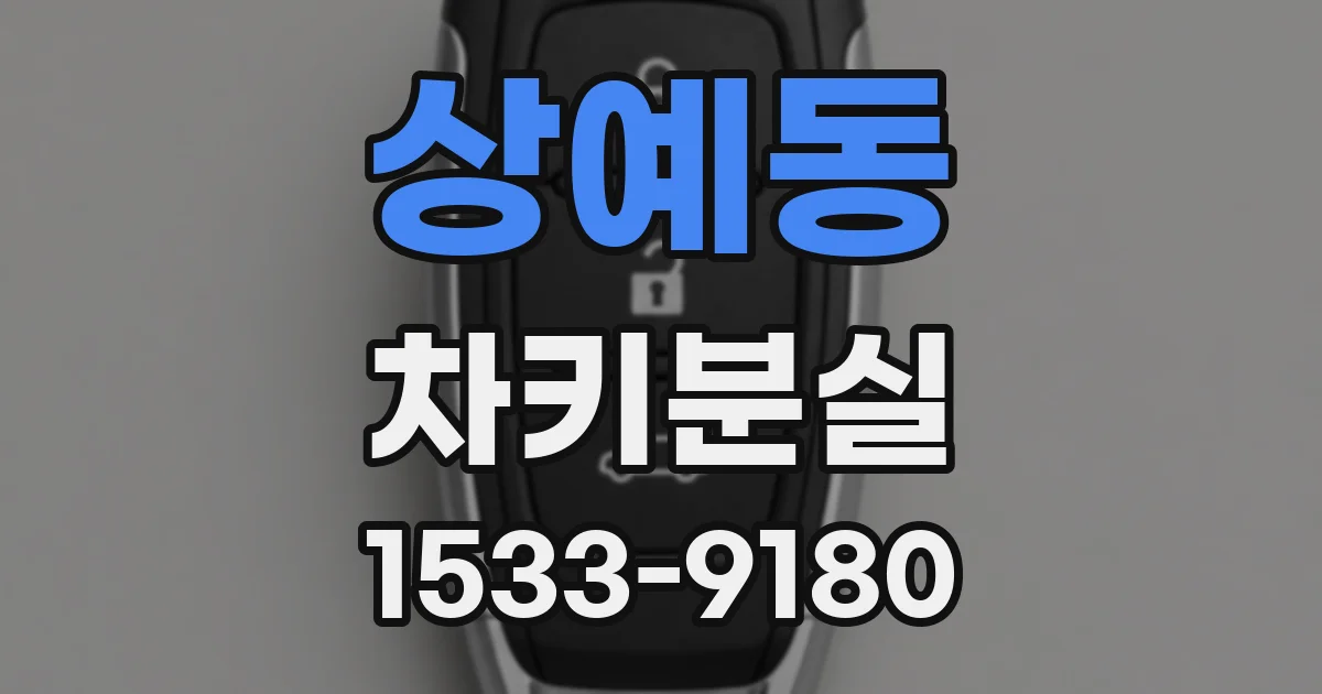 상예동 차키분실