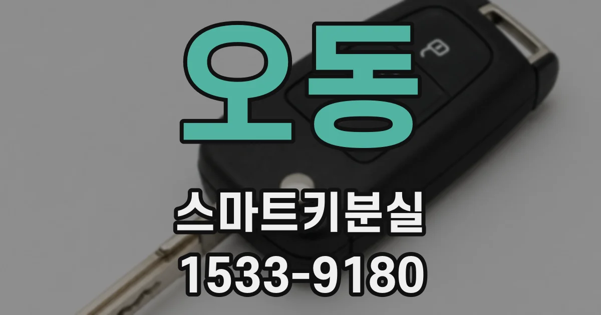 오동 스마트키분실
