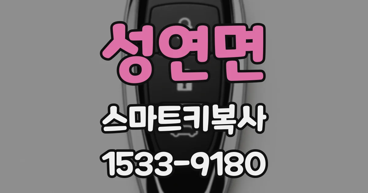 성연면 스마트키복사