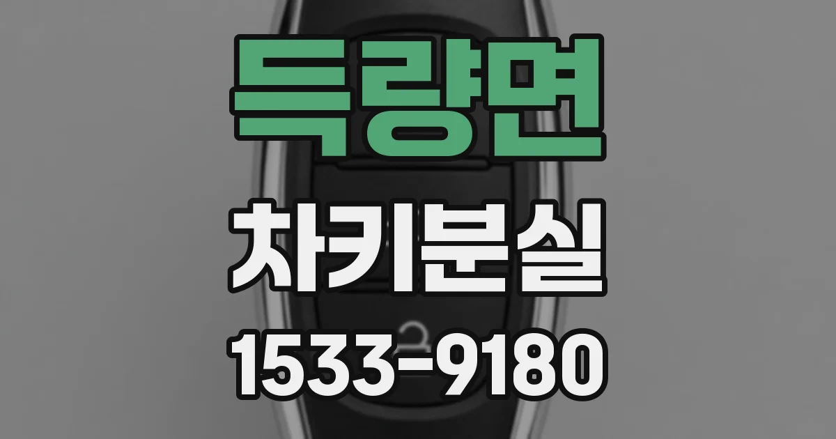 득량면 차키분실