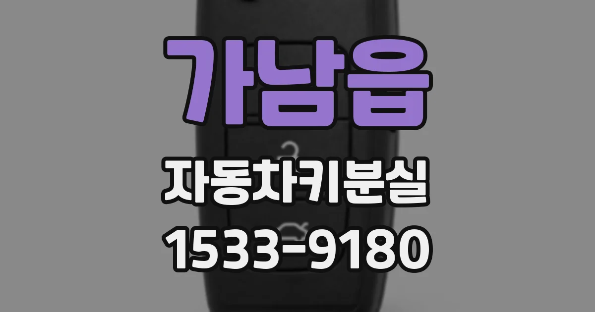 가남읍 자동차키분실