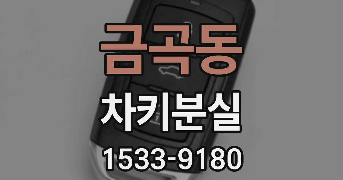 금곡동 차키분실
