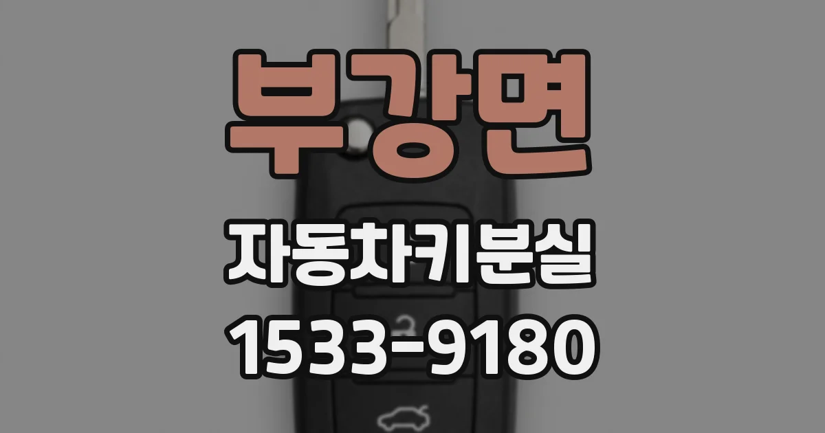 부강면 자동차키분실