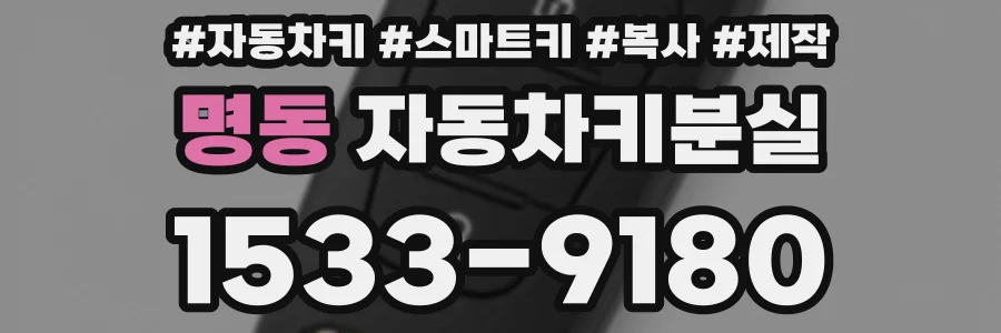 명동 자동차키분실