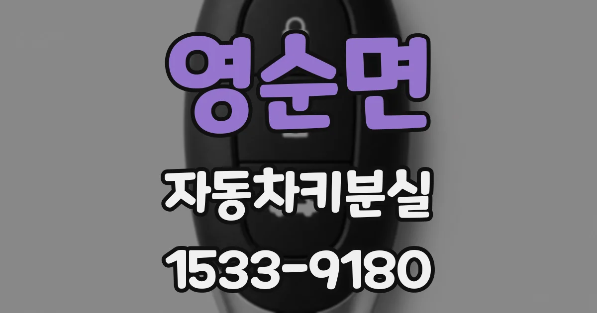 영순면 자동차키분실