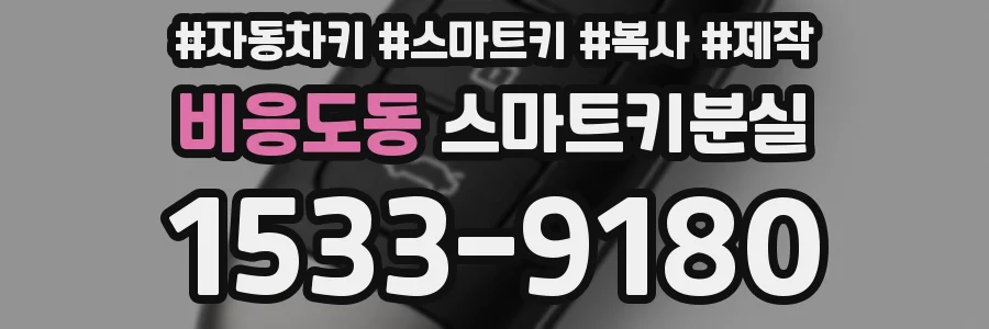 비응도동 스마트키분실