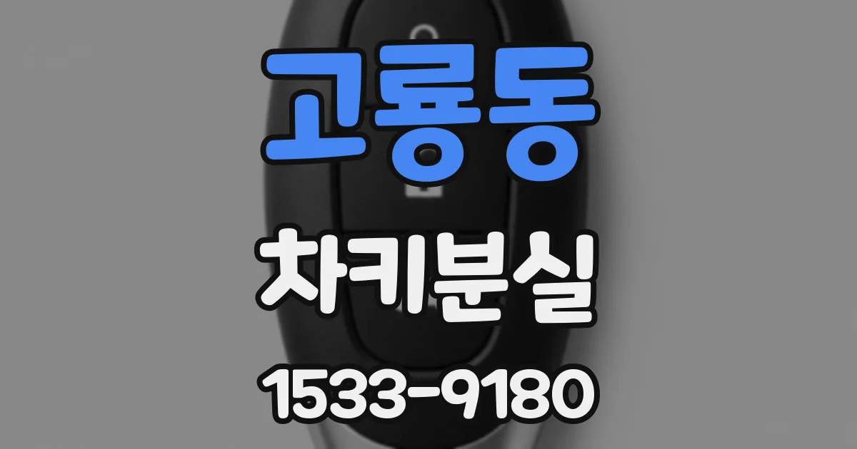 고룡동 차키분실