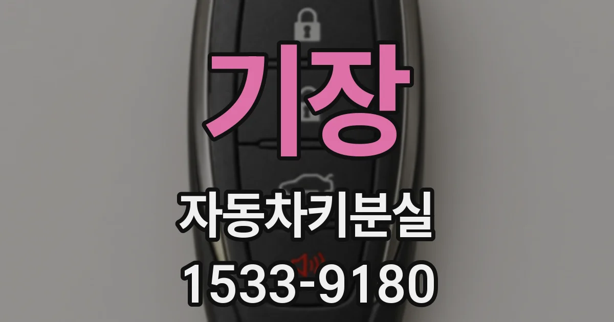 기장 자동차키분실