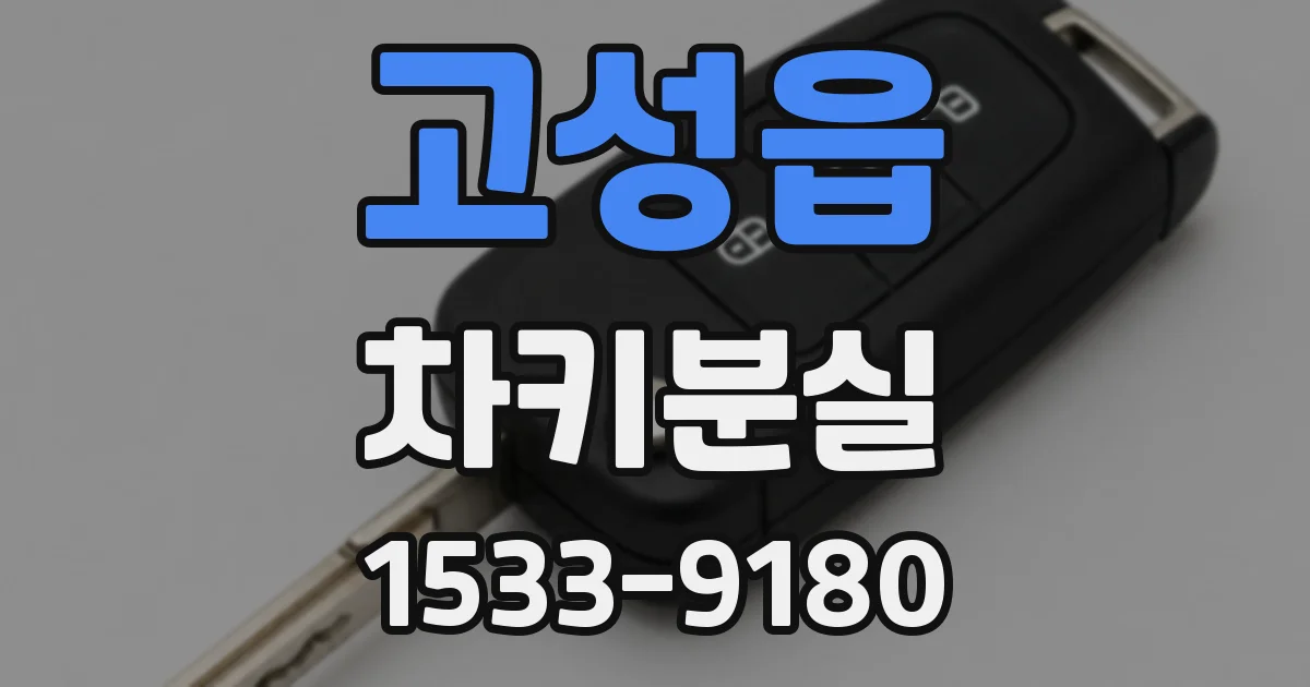 고성읍 차키분실