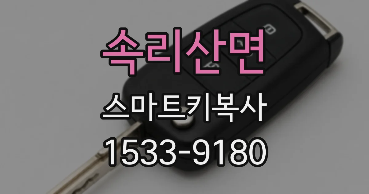 속리산면 스마트키복사