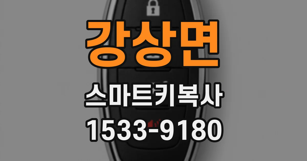 강상면 스마트키복사
