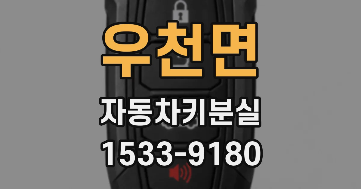 우천면 자동차키분실