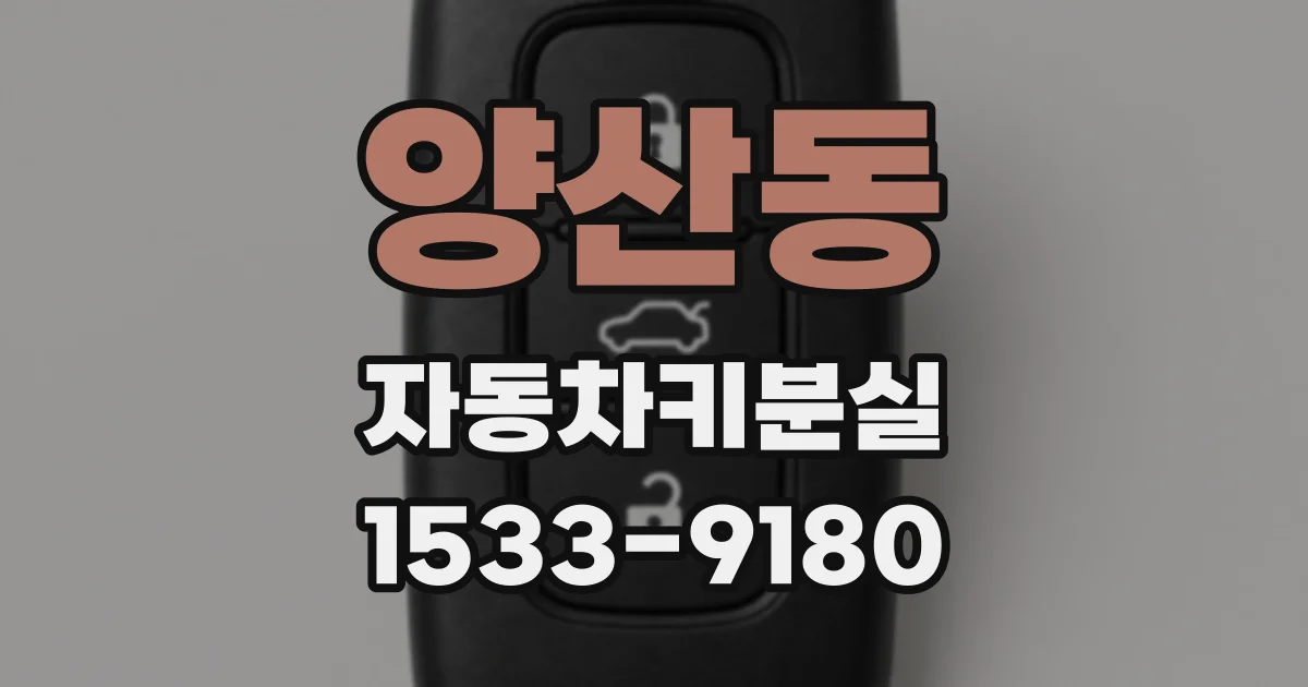 양산동 자동차키분실