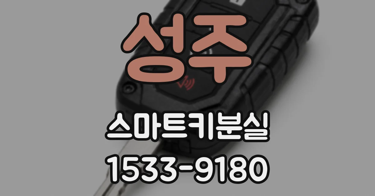 성주 스마트키분실