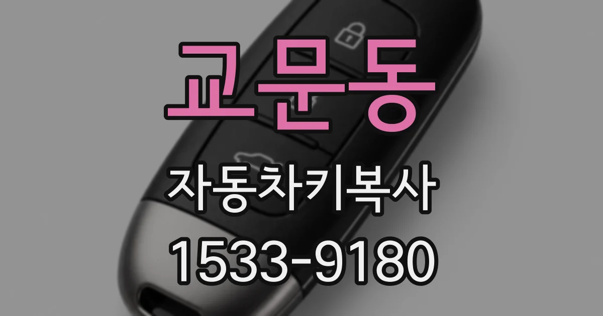 교문동 자동차키복사