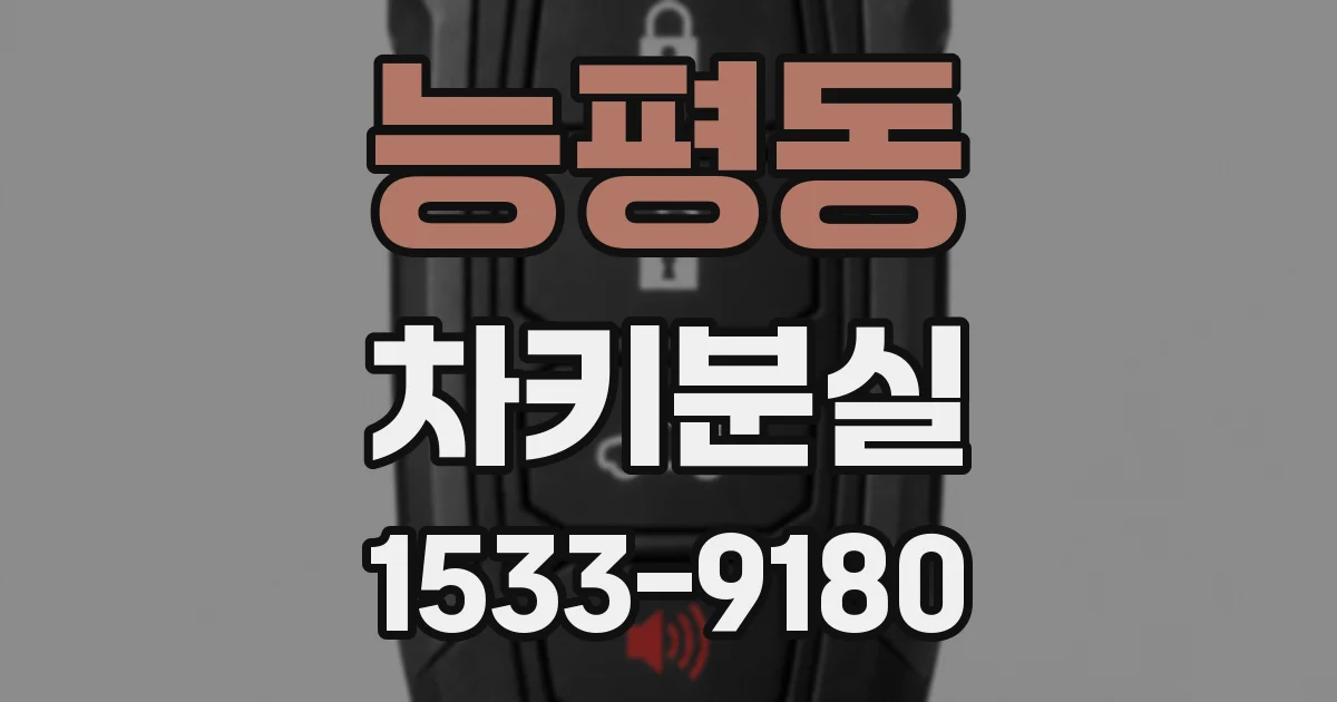 능평동 차키분실
