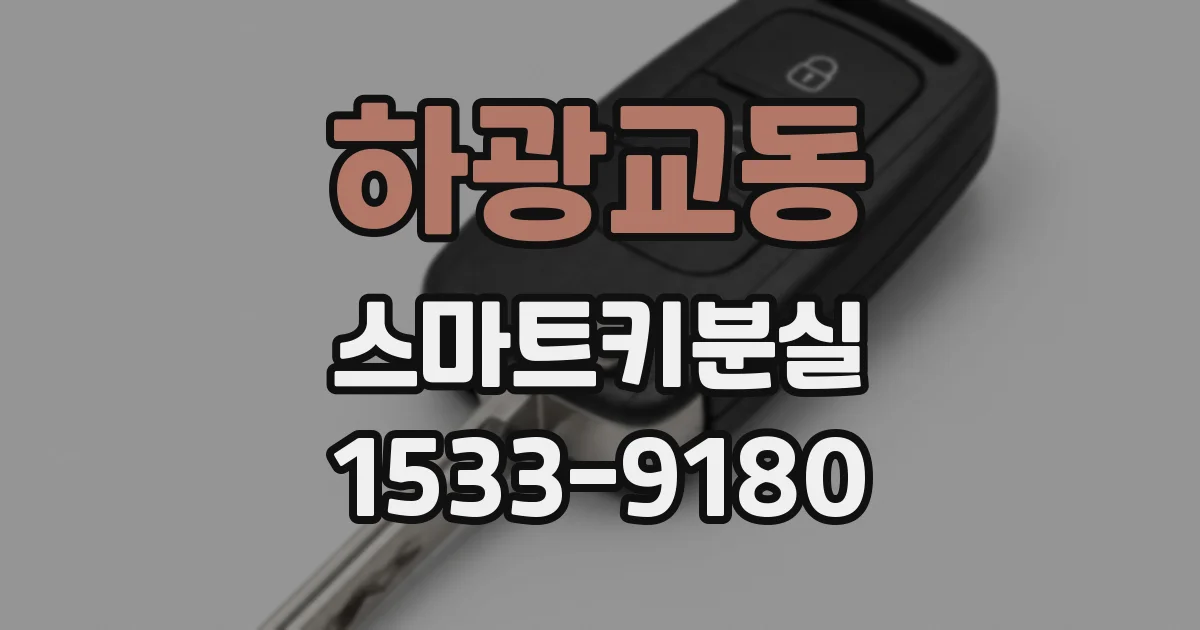 하광교동 스마트키분실