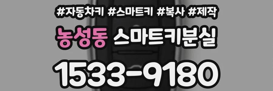 농성동 스마트키분실