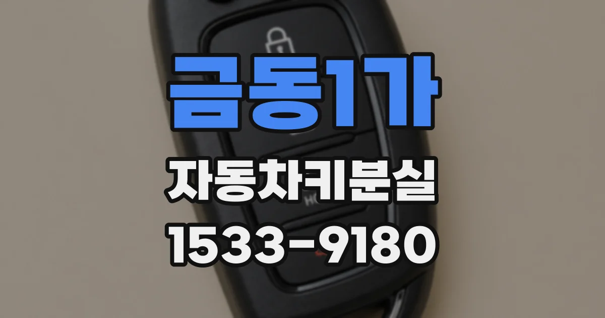 금동1가 자동차키분실