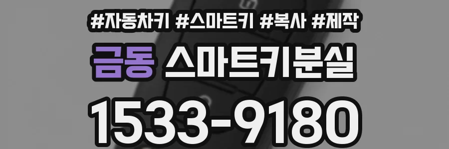 금동 스마트키분실