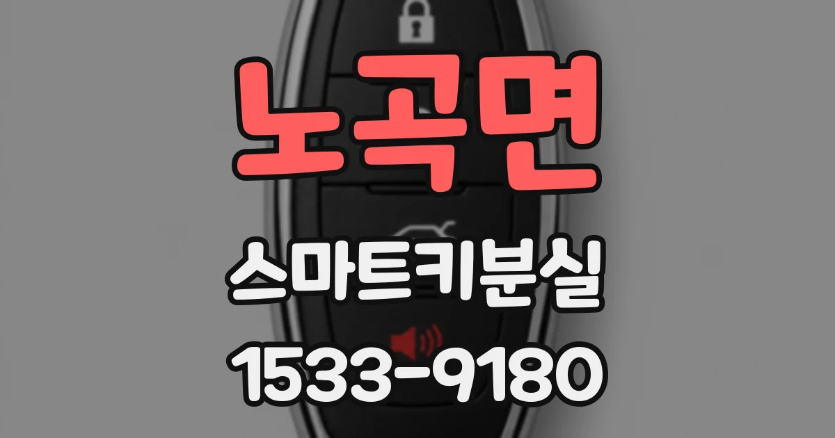노곡면 스마트키분실