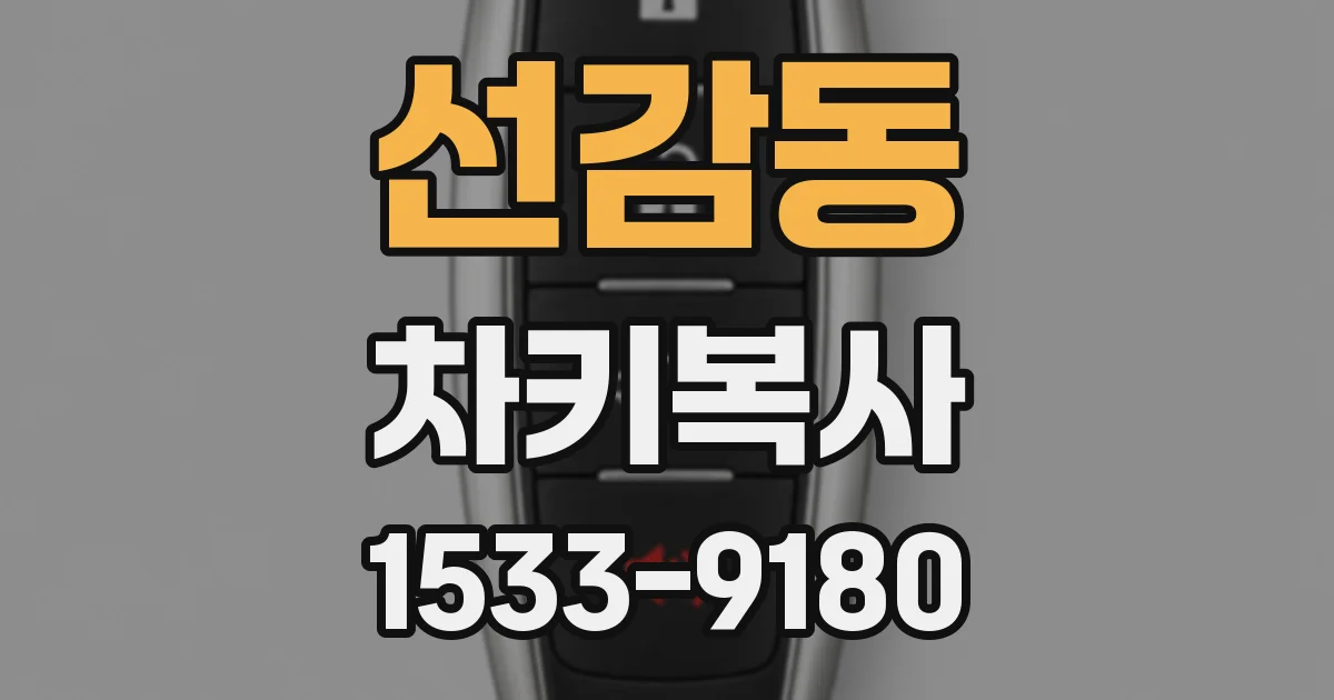 선감동 차키복사