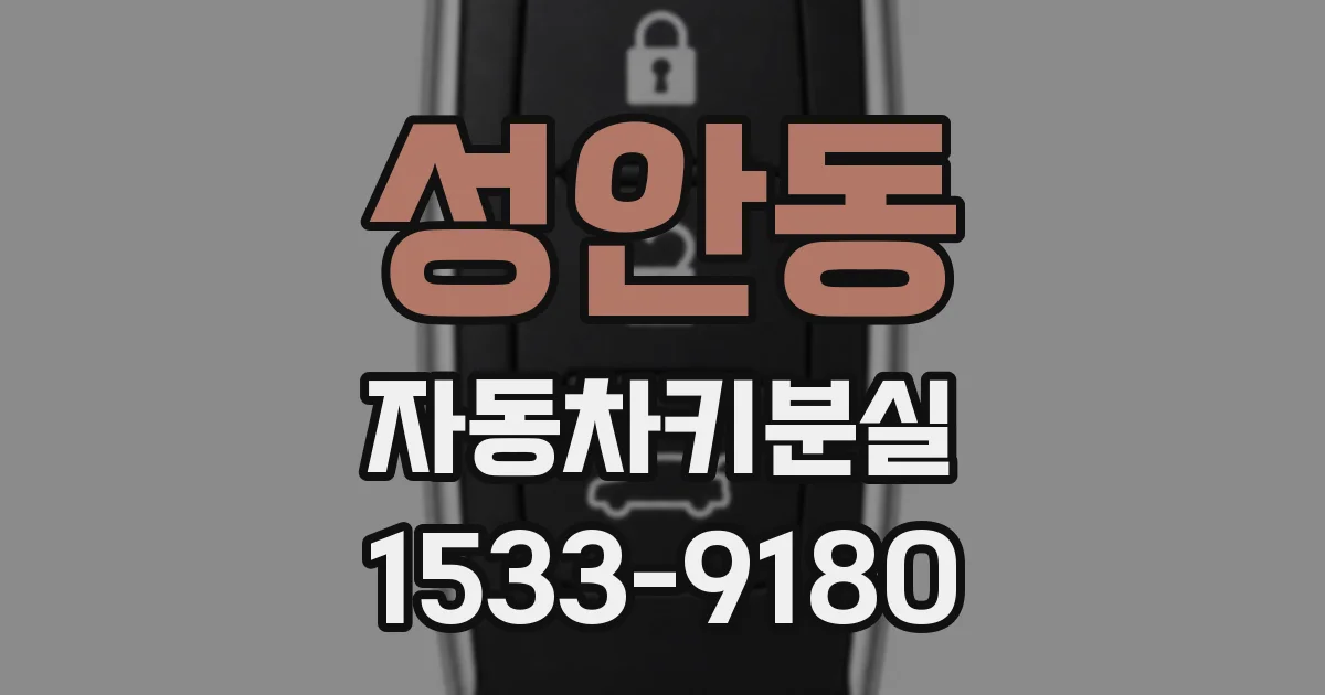 성안동 자동차키분실