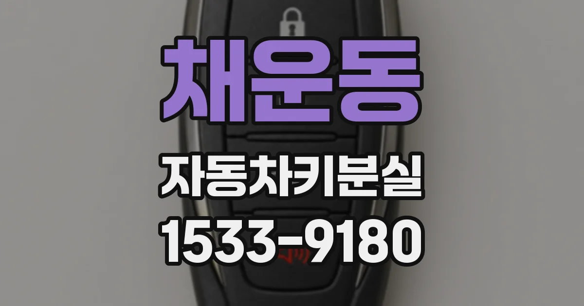 채운동 자동차키분실