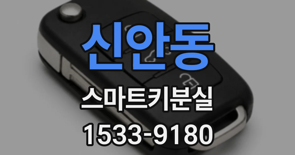 신안동 스마트키분실