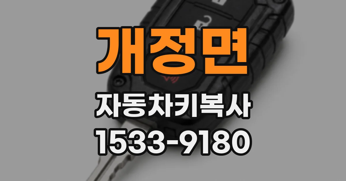 개정면 자동차키복사