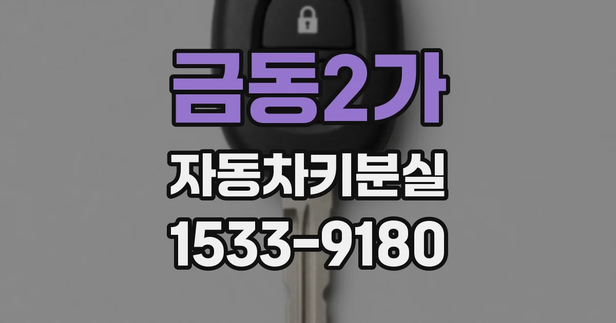 금동2가 자동차키분실