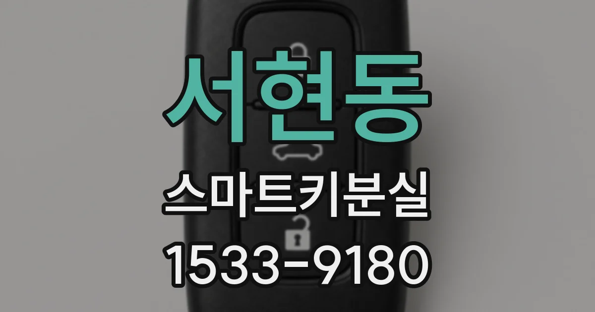 서현동 스마트키분실