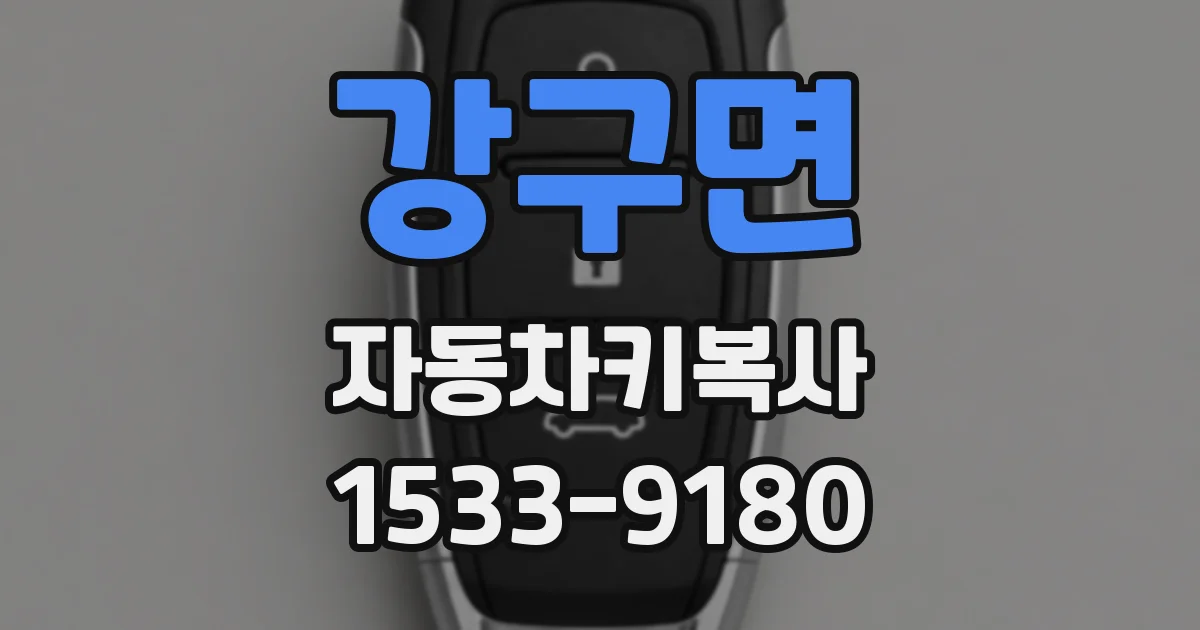 강구면 자동차키복사