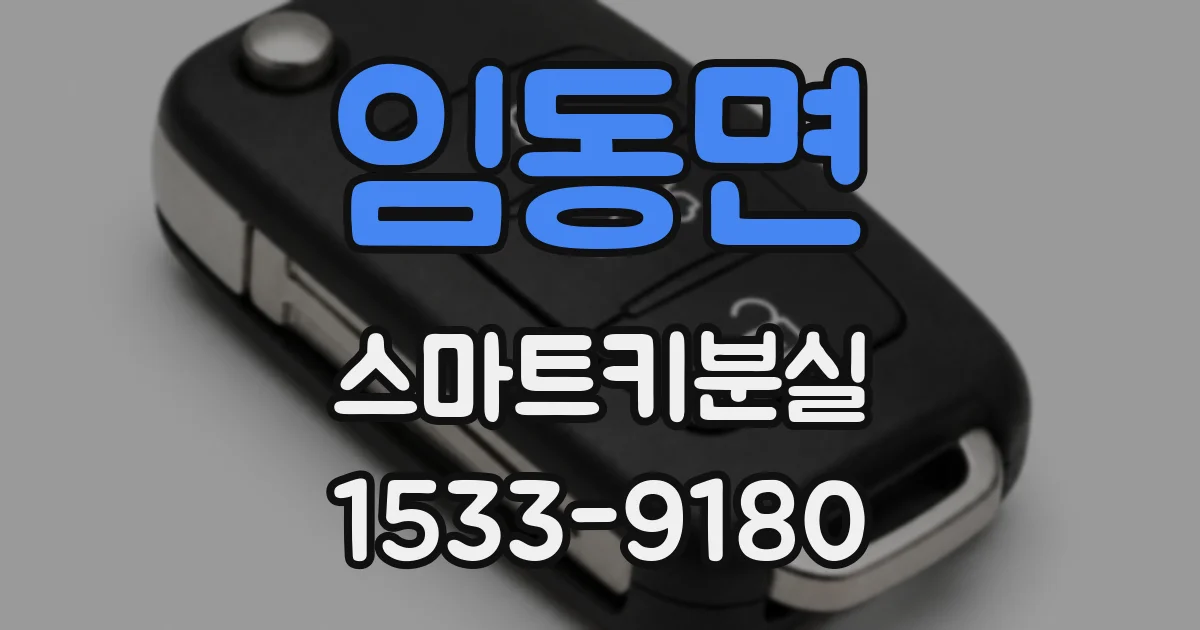 임동면 스마트키분실
