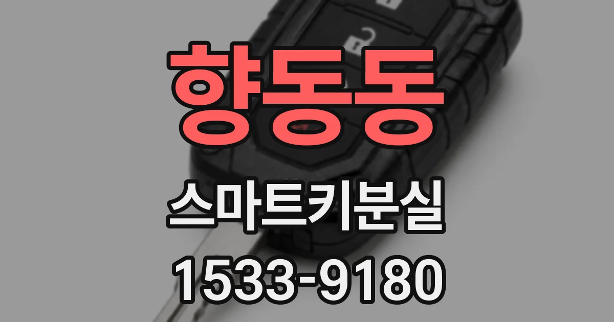 향동동 스마트키분실
