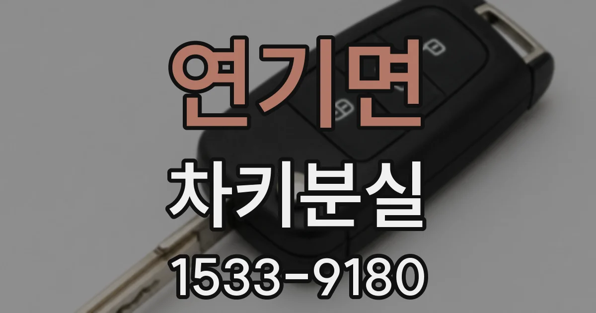 연기면 차키분실