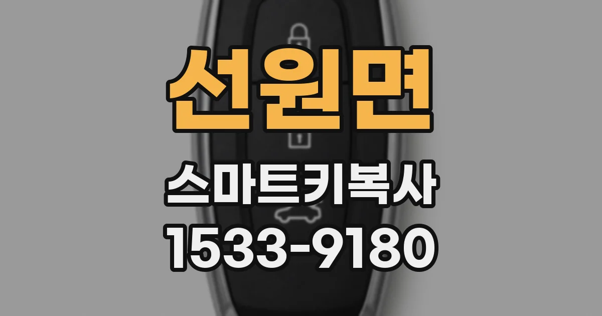 선원면 스마트키복사