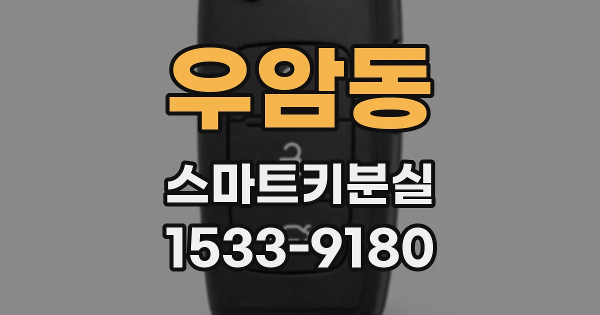 우암동 스마트키분실