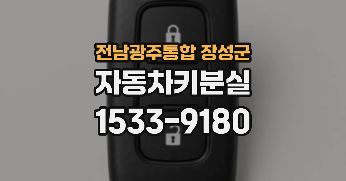 전남광주통합 장성군 자동차키분실