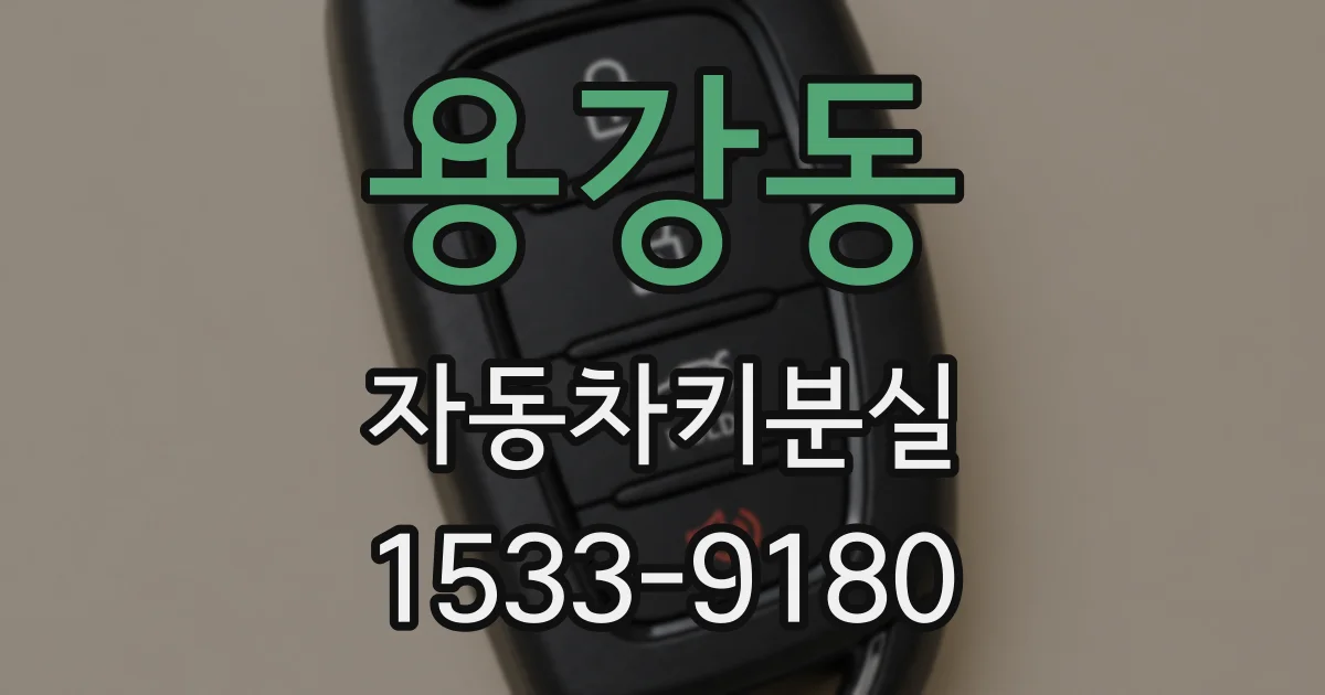 용강동 자동차키분실